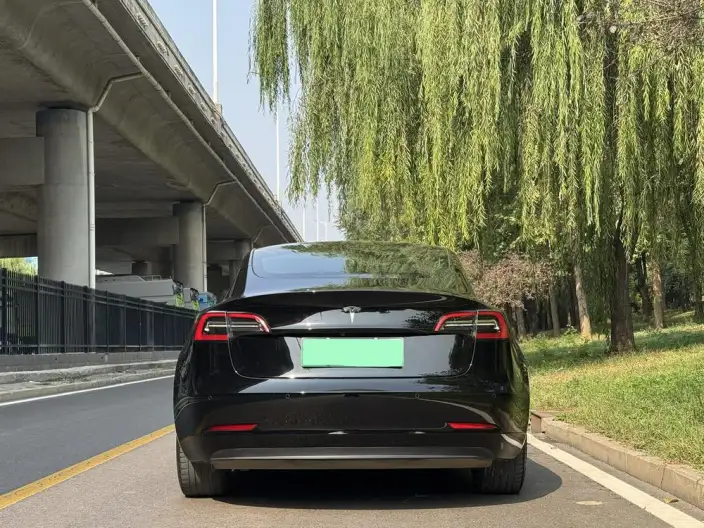 Model 3 2022 Model Rear-wheel drive version – фото 5