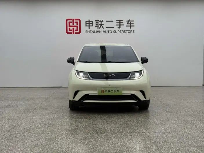 BYD Dolphin 2025 Model 420KM Free Edition – фото 2