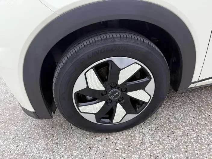 BYD Dolphin 2025 Model 420KM Free Edition – фото 6