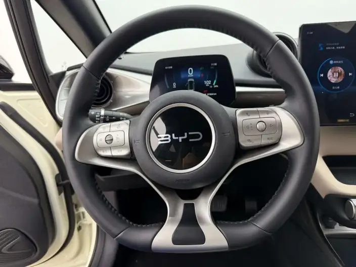 BYD Dolphin 2025 Model 420KM Free Edition – фото 10