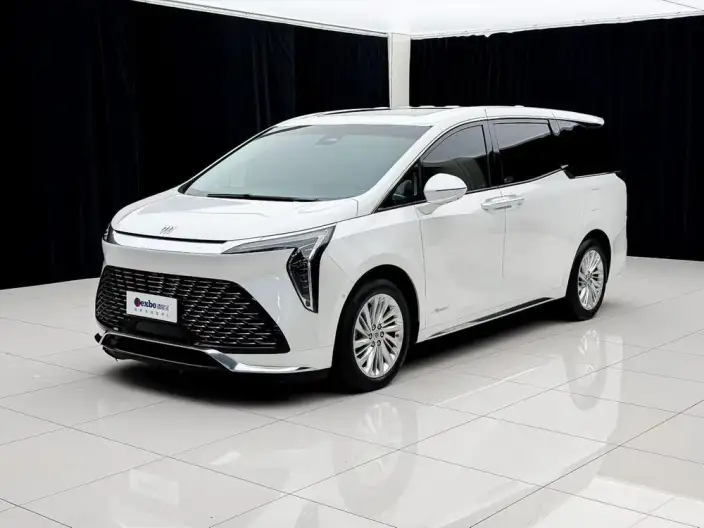 Century 2023 Model 2.0T VI seat Yunshi Edition