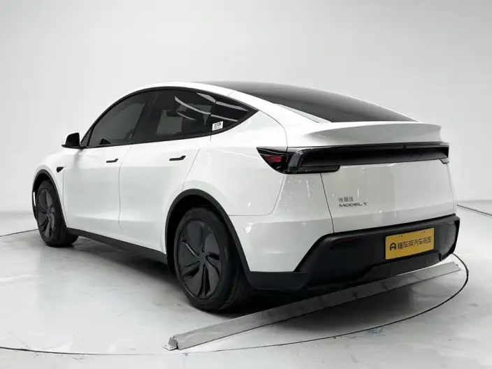 Model Y 2025 Model Rear-wheel drive version – фото 5