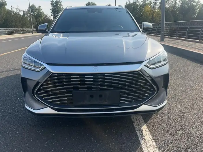 BYD Song PLUS DM 2021 Model DM-i 110KM 2WD Flagship PLUS – фото 2