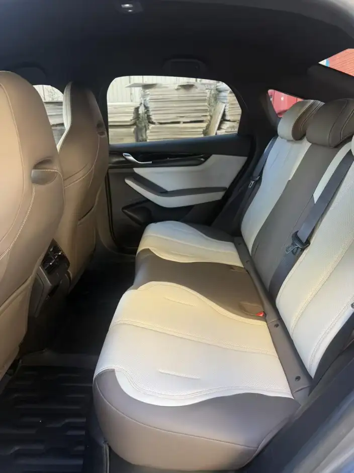 BYD Qin PLUS DM 2023 Model DM-i Champion Edition 120KM Leading Model – фото 9