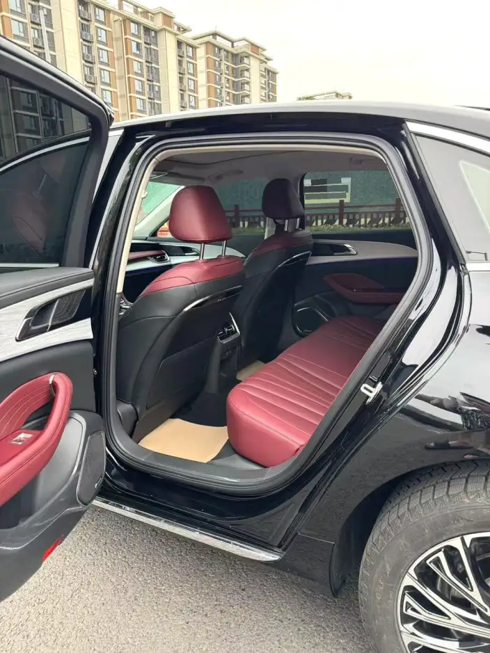 Hongqi H5 2023 Model 2.0T Automatic Flag Enjoy Edition – фото 7