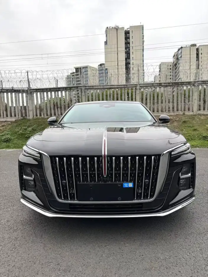 Hongqi H5 2023 Model 2.0T Automatic Flag Enjoy Edition – фото 8