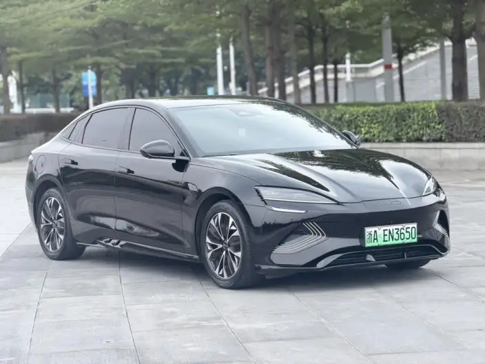 BYD Seal 2023 Model 550KM Champion Edition Noble Model – фото 3