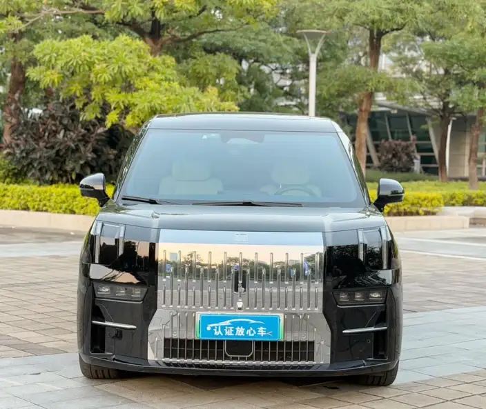 ZEEKR 009 2023 Model Facelift WE Edition