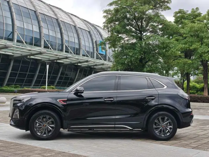 Hongqi HS5 2023 Model 2.0T Flag Xiang Pro Edition