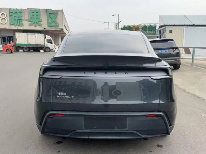 Model Y 2025 Model Rear-wheel drive version – фото 5