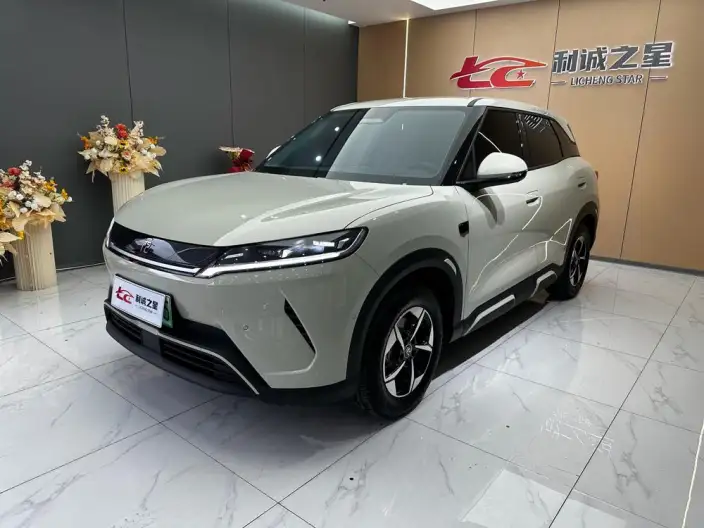 Yuan UP 2025 Model Smart Driving Edition 401KM Leading Model – фото 1