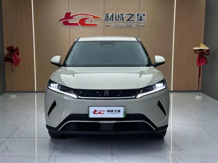 Yuan UP 2025 Model Smart Driving Edition 401KM Leading Model – фото 2