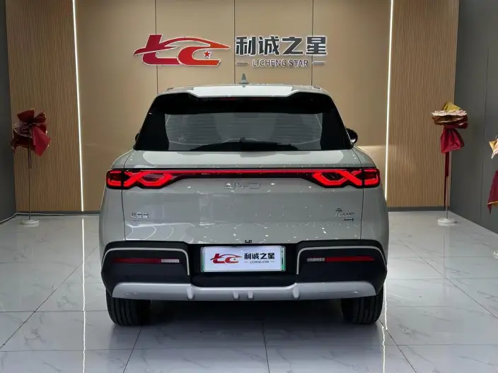 Yuan UP 2025 Model Smart Driving Edition 401KM Leading Model – фото 5
