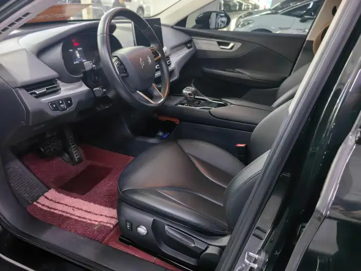 Hongqi E-QM5 2023 Model 560KM PLUS Edition 140kW – фото 8