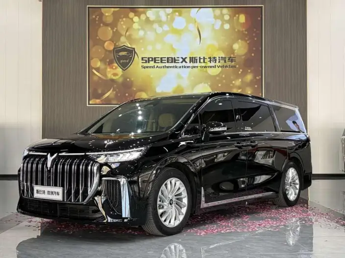 VOYAH Dreamer PHEV 2024 Model Ultra-long Endurance Premium Edition