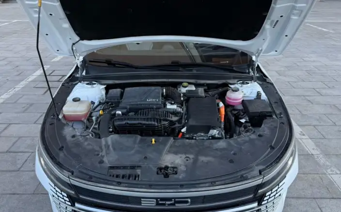 BYD Destroyer 05 2023 Model DM-i Champion Edition 120KM Noble Model – фото 9