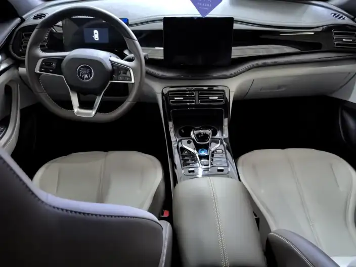 BYD Qin PLUS DM 2024 Model Honor Edition DM-i 55KM Leading Model – фото 8