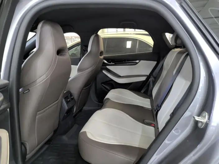 BYD Qin PLUS DM 2024 Model Honor Edition DM-i 55KM Leading Model – фото 10