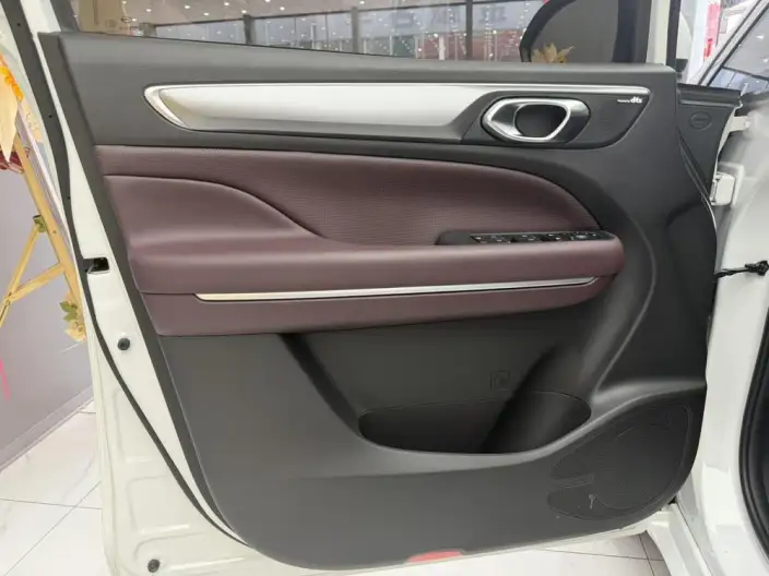 GAC Trumpchi M6 2023 Model PRO 270T WDCT Deluxe Edition – фото 9