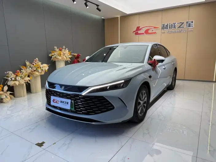 QinL DM 2025 Model Smart Driving Edition DM-i 80KM Leading Model
