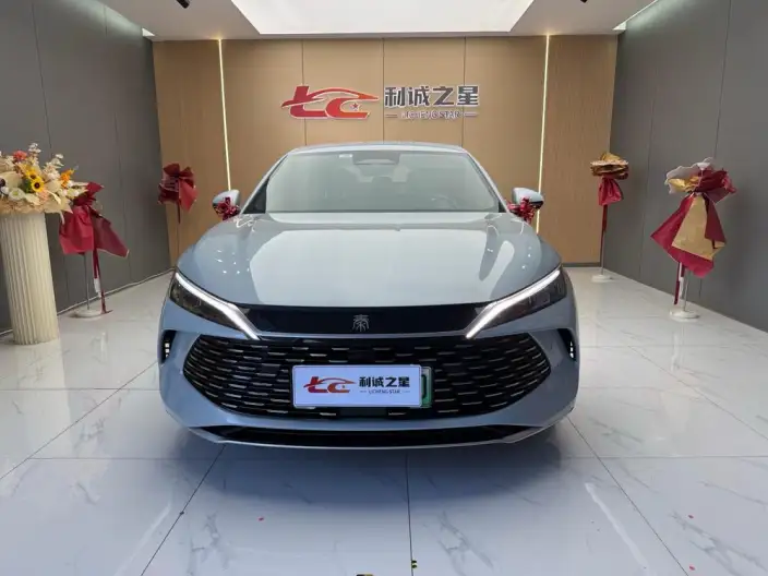 QinL DM 2025 Model Smart Driving Edition DM-i 80KM Leading Model