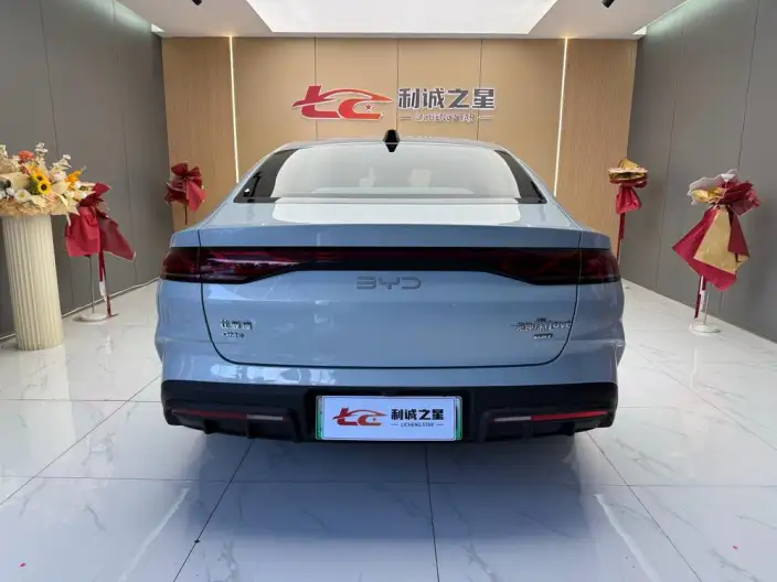 QinL DM 2025 Model Smart Driving Edition DM-i 80KM Leading Model – фото 5