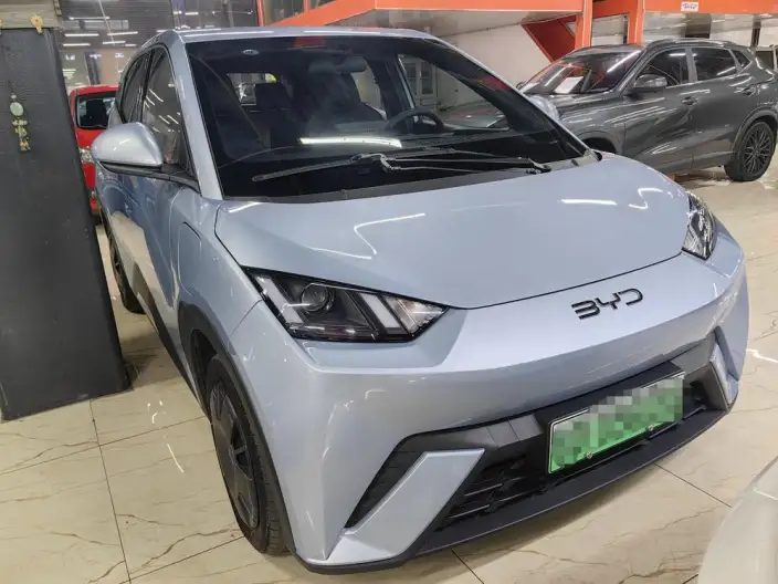 BYD Seagull 2024 Model Honor Edition 305KM Vitality Edition