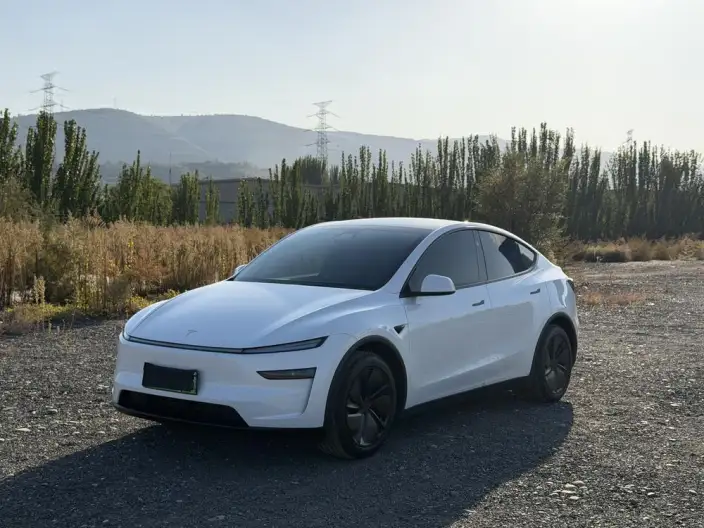 Model Y 2026 Model Rear-wheel drive version