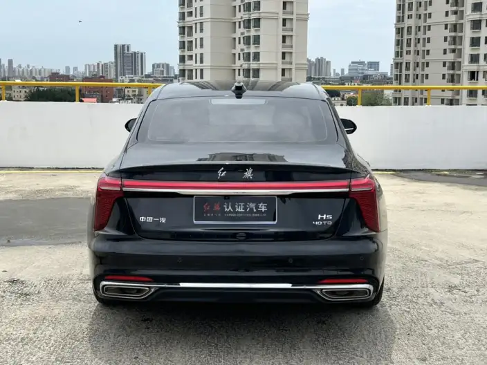 Hongqi H5 2024 Model 2.0T Automatic Flag Enjoy Edition – фото 5