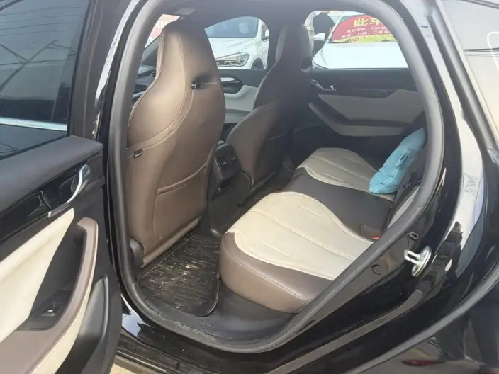 BYD Qin PLUS DM 2023 Model DM-i Champion Edition 55KM Leading Model – фото 9