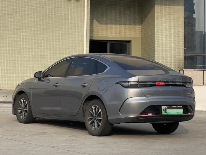 BYD Destroyer 05 2024 Model Honor Edition DM-i 55KM Luxury Model – фото 5