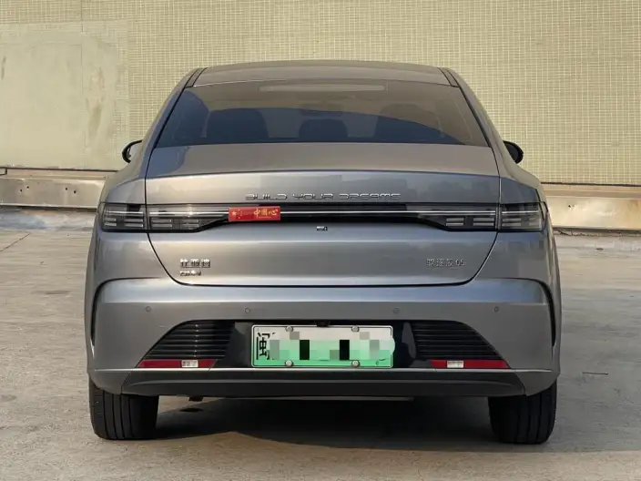 BYD Destroyer 05 2024 Model Honor Edition DM-i 55KM Luxury Model – фото 6
