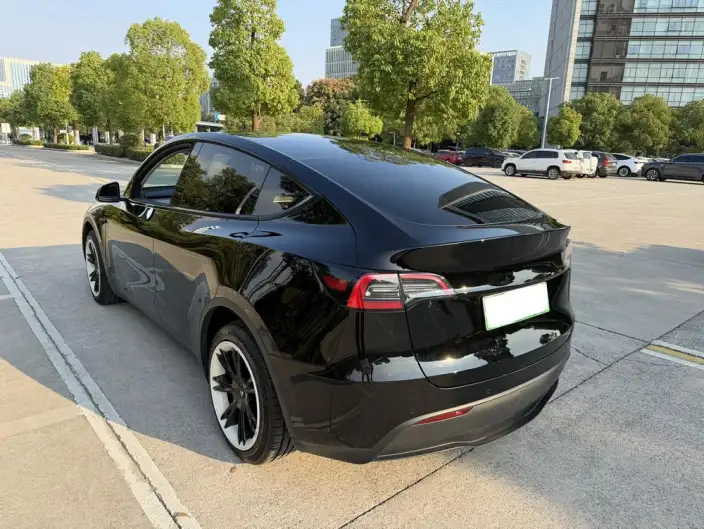 Model Y 2023 Model Long Battery Life Pro All-wheel drive version – фото 5