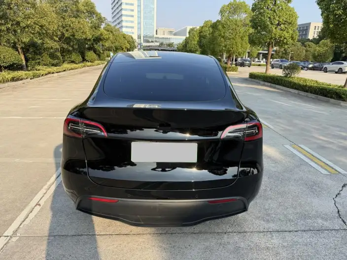 Model Y 2023 Model Long Battery Life Pro All-wheel drive version – фото 6