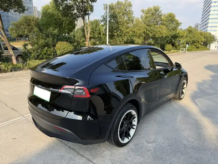 Model Y 2023 Model Long Battery Life Pro All-wheel drive version – фото 7