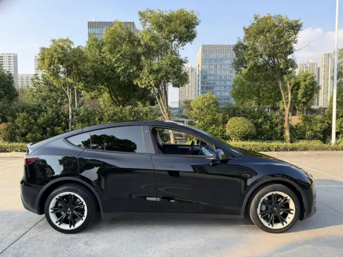 Model Y 2023 Model Long Battery Life Pro All-wheel drive version – фото 8