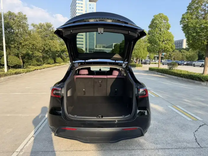 Model Y 2023 Model Long Battery Life Pro All-wheel drive version – фото 9