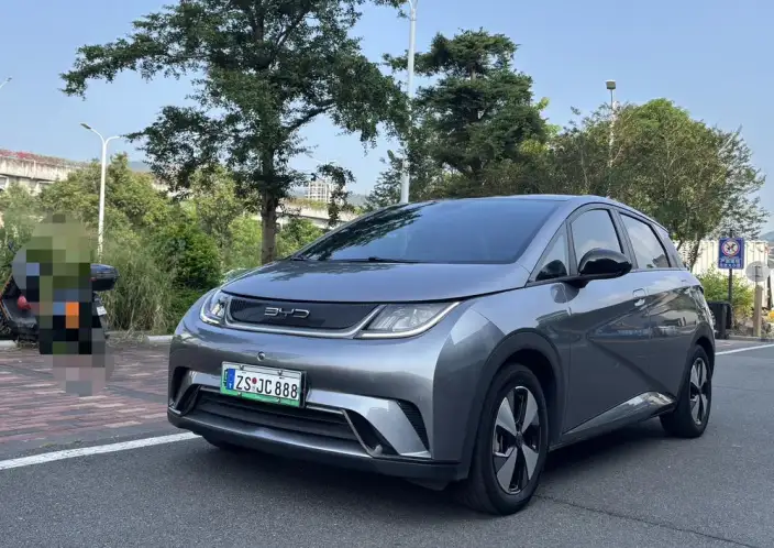 BYD Dolphin 2023 Model Fashion Edition