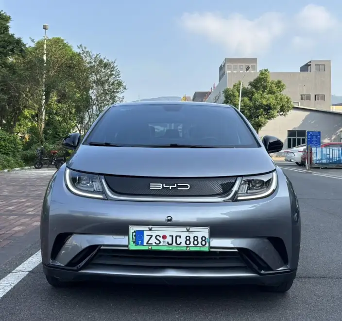 BYD Dolphin 2023 Model Fashion Edition