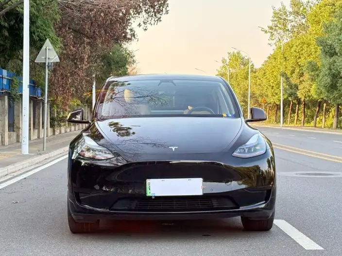 Model Y 2022 Model Facelift Rear-wheel drive version – фото 2