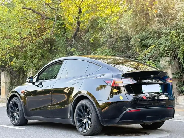 Model Y 2022 Model Facelift Rear-wheel drive version – фото 5