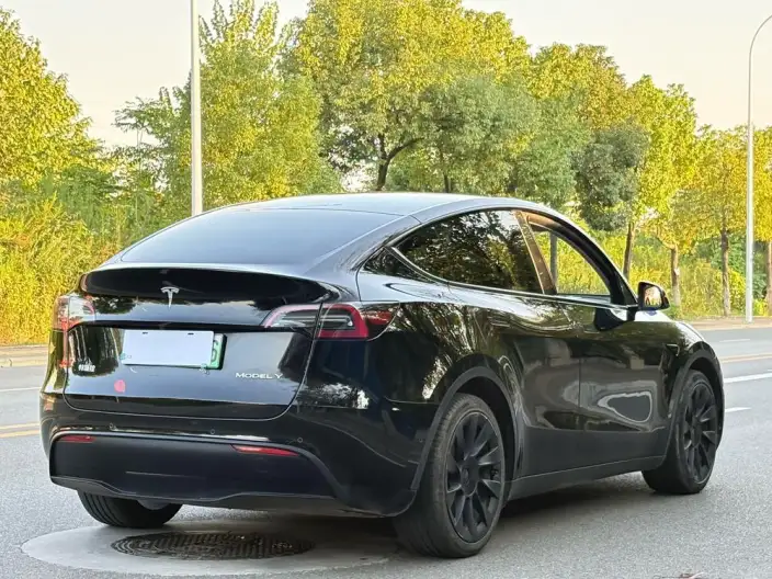 Model Y 2022 Model Facelift Rear-wheel drive version – фото 7