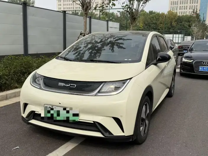 BYD Dolphin 2023 Model Fashion Edition – фото 1