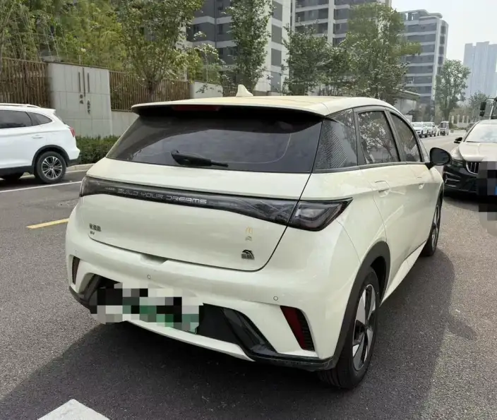 BYD Dolphin 2023 Model Fashion Edition – фото 2
