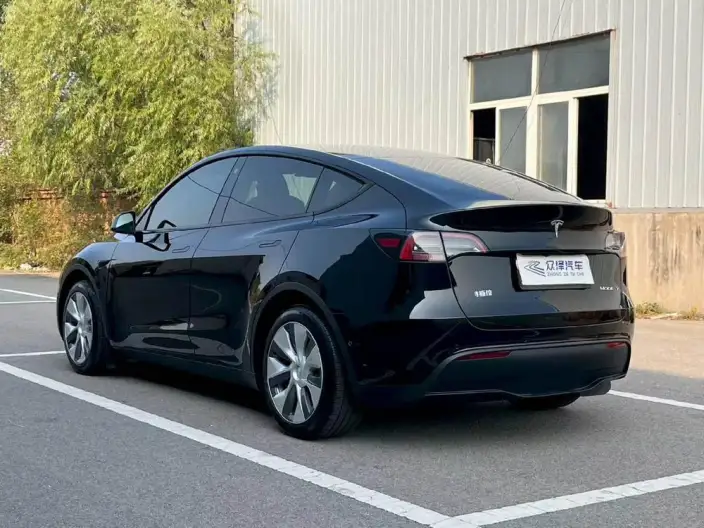 Model Y 2022 Model Rear-wheel drive version – фото 4