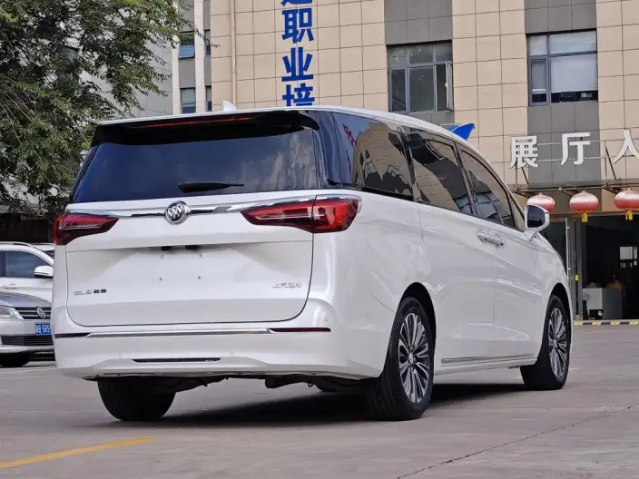 Buick GL8 2023 Model ES Luzun 2.0T Flagship Model – фото 6
