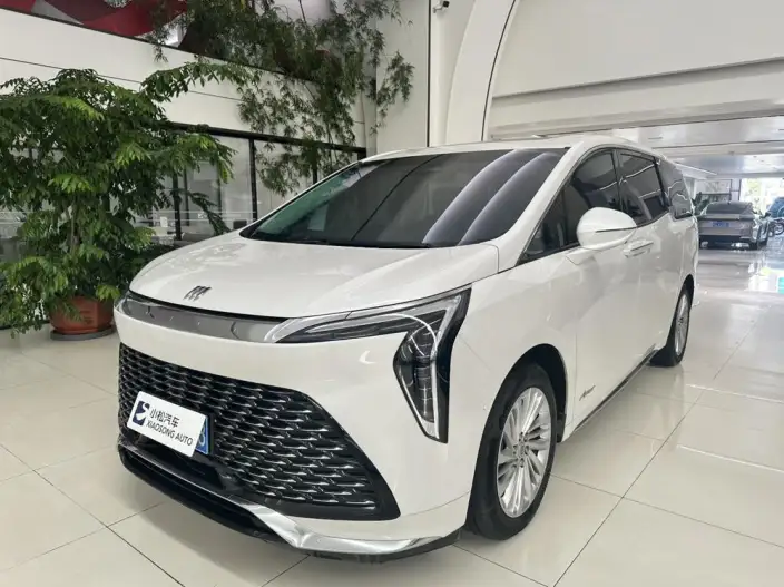 Century 2023 Model 2.0T VII seat Yunshi Edition – фото 1