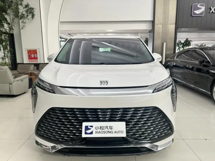 Century 2023 Model 2.0T VII seat Yunshi Edition – фото 2