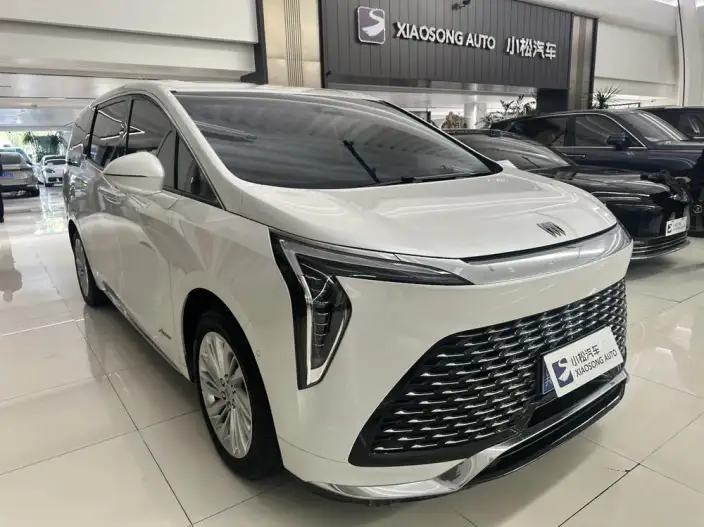 Century 2023 Model 2.0T VII seat Yunshi Edition – фото 3