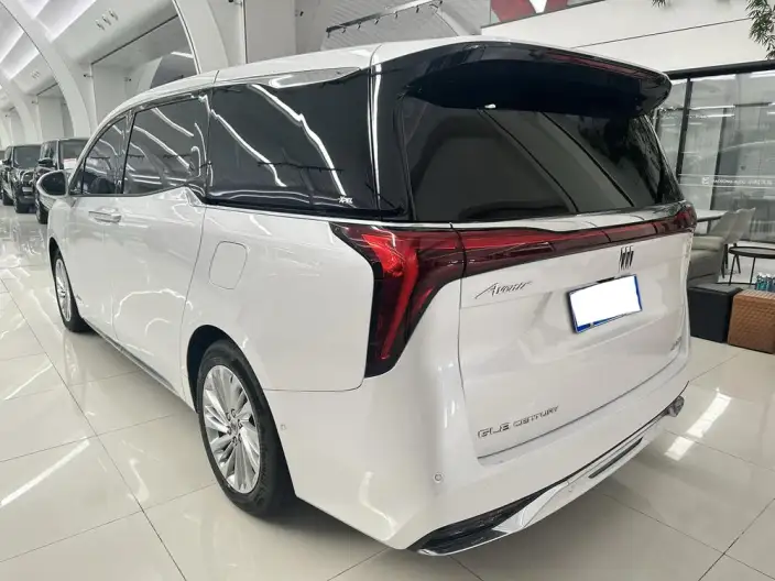 Century 2023 Model 2.0T VII seat Yunshi Edition – фото 4